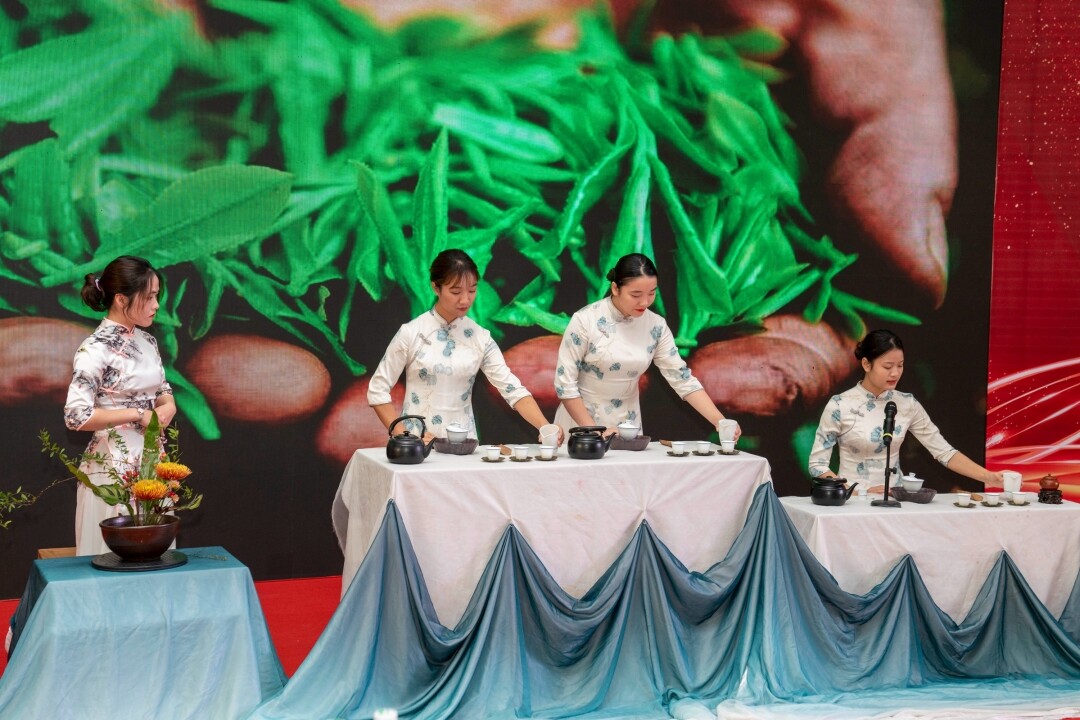 茶艺可以学习_学茶艺有前景吗_茶艺可以学到什么