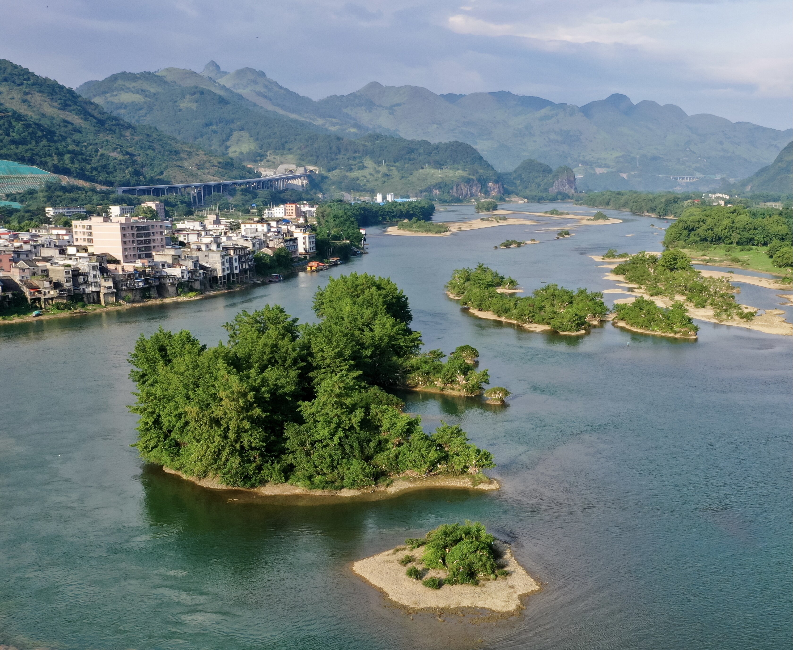 6月15日,连江河阳山县青莲镇段,河道中的沙丘上植被生长旺盛