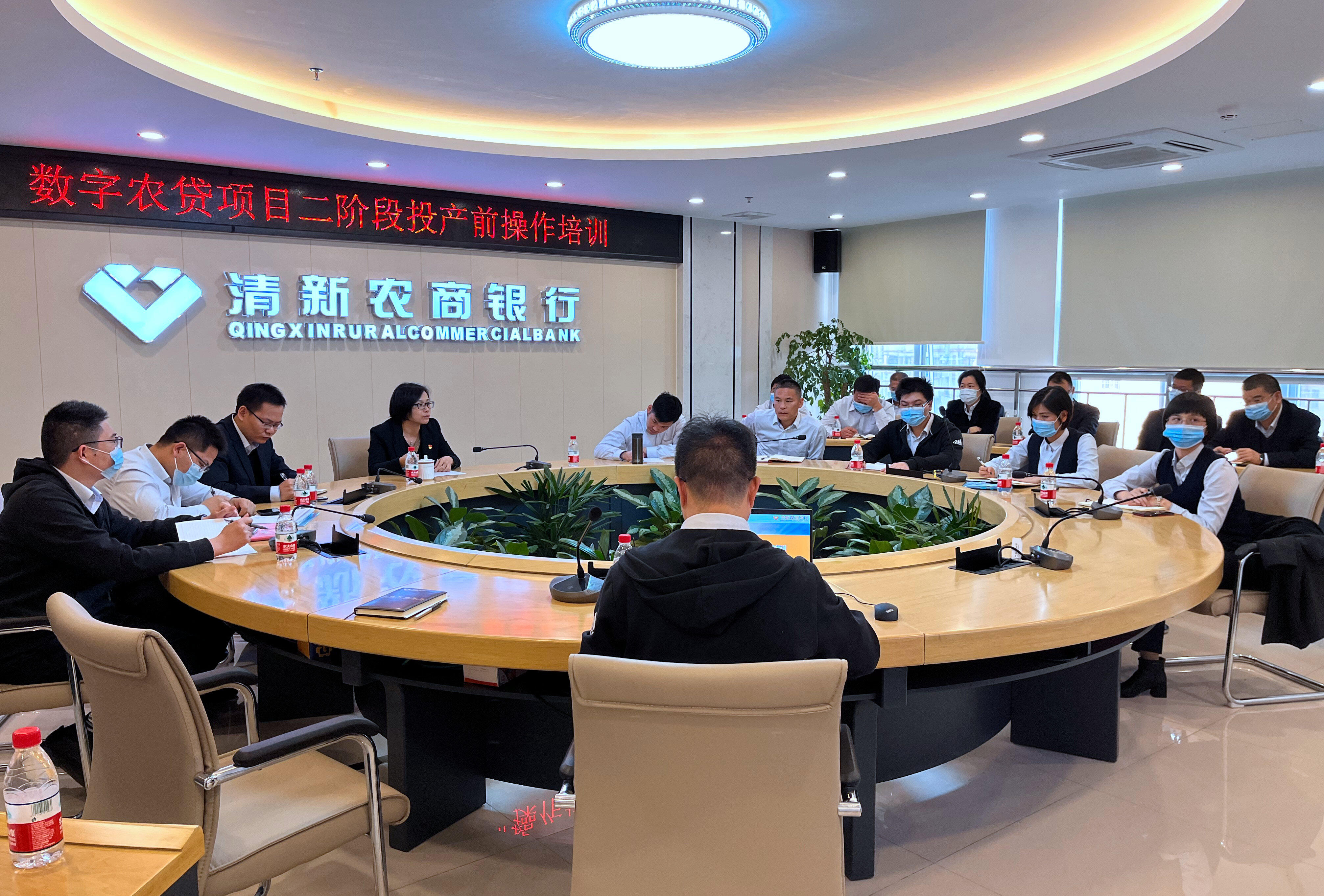 清新农商银行上线清远鸡数字农贷项目清远日报清远plus