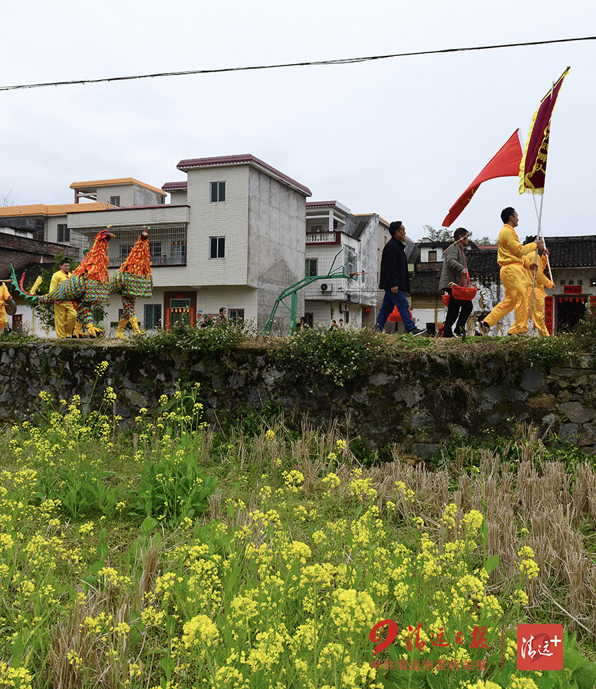 2月16日,陽山縣杜步鎮旱坑村的鳳舞隊進行表演,祝願風調雨順國泰民安.