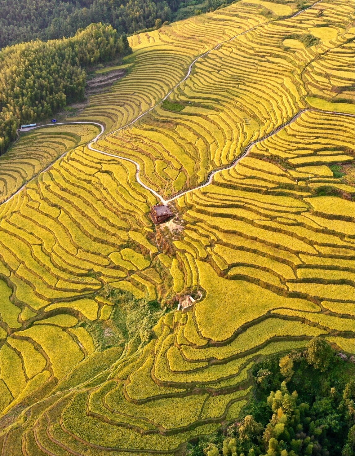 9月27日,清远市连山壮族瑶族自治县欧家梯田,稻子即将成熟.