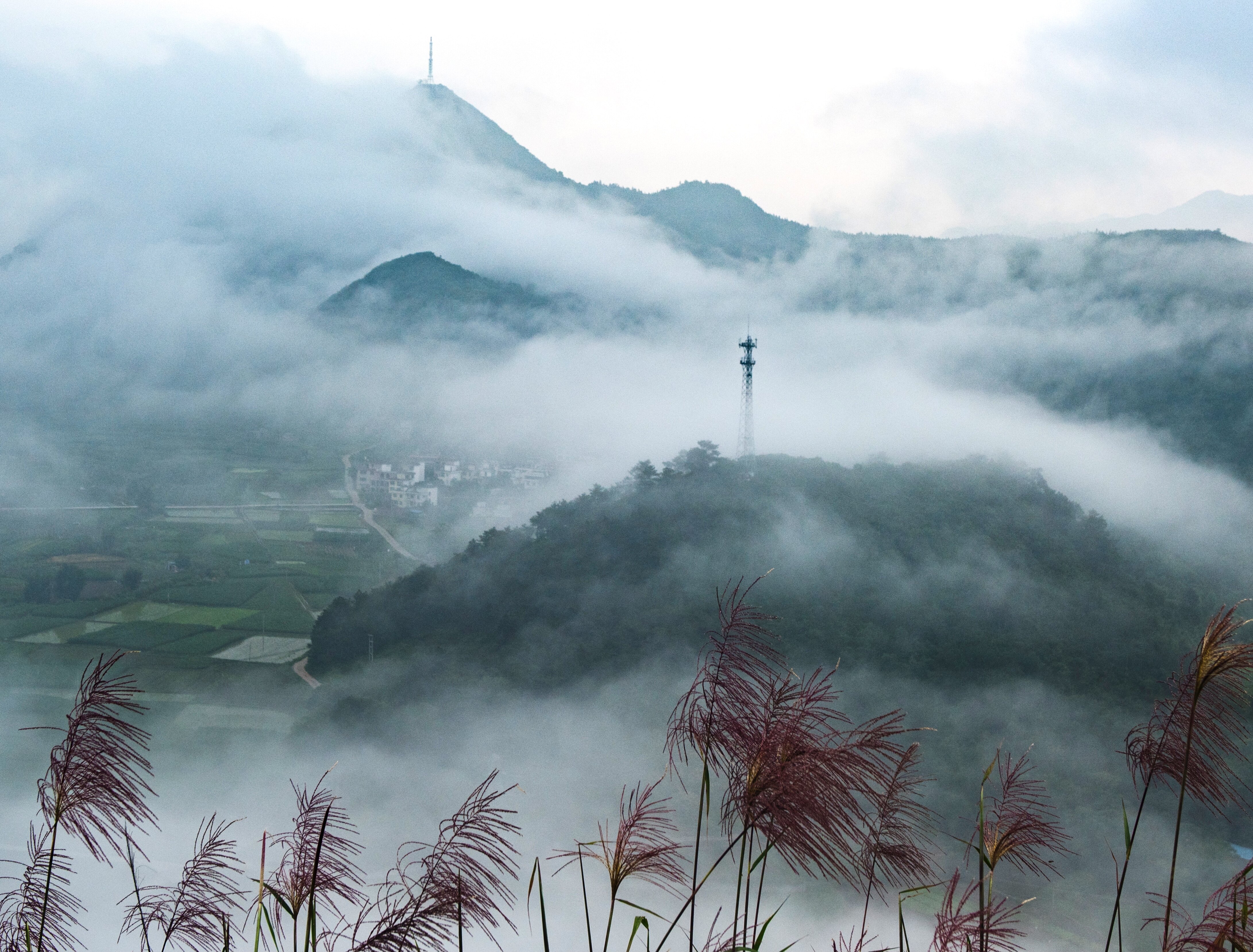 2022年5月26日,连州市巾峰山顶,雨后早晨云雾飘渺