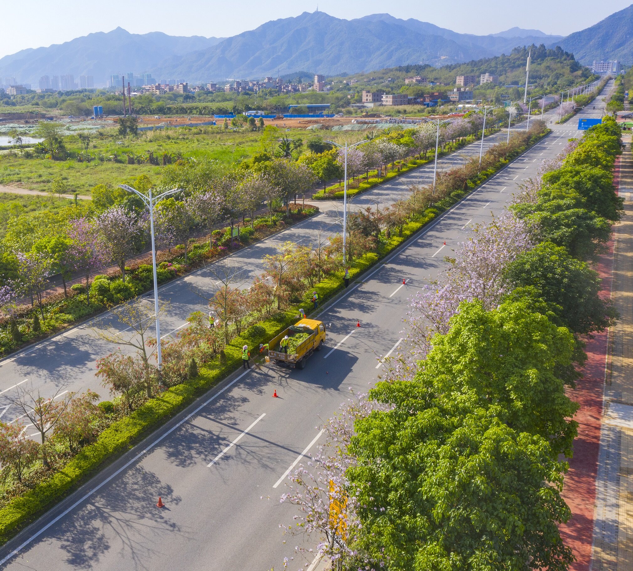 清城区凤翔北路绿化